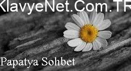 Papatya Sohbet Papatya Sohbet